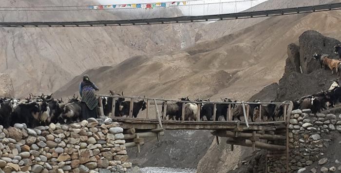 Best Place to Visit During Upper Mustang Trek