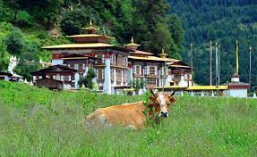 Bumthang,Lhuntsi and Yangtsi Trek : 7 Nights